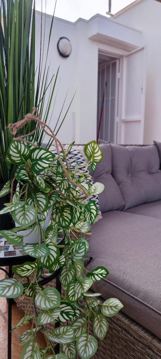 Apartamento Casa De Alba Cabo Cervera La Mata Torrevieja Eksteriør billede