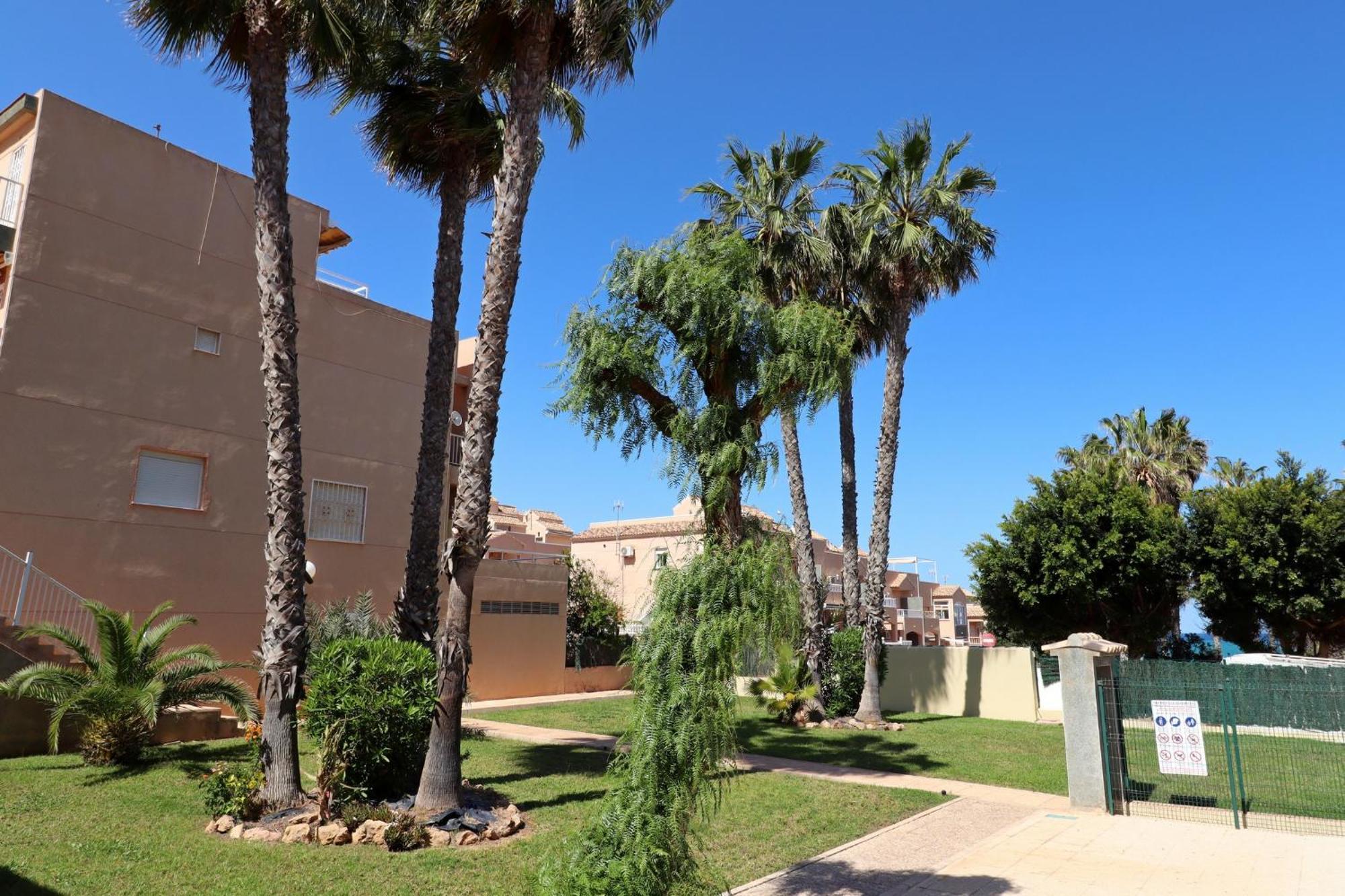 Apartamento Casa De Alba Cabo Cervera La Mata Torrevieja Eksteriør billede